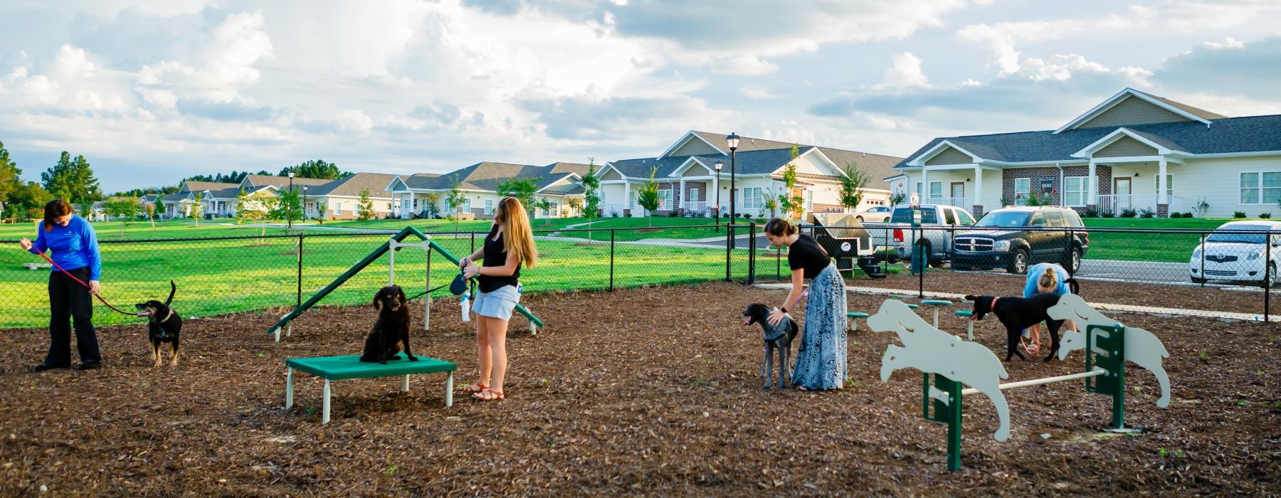 a group of people playing with dogs